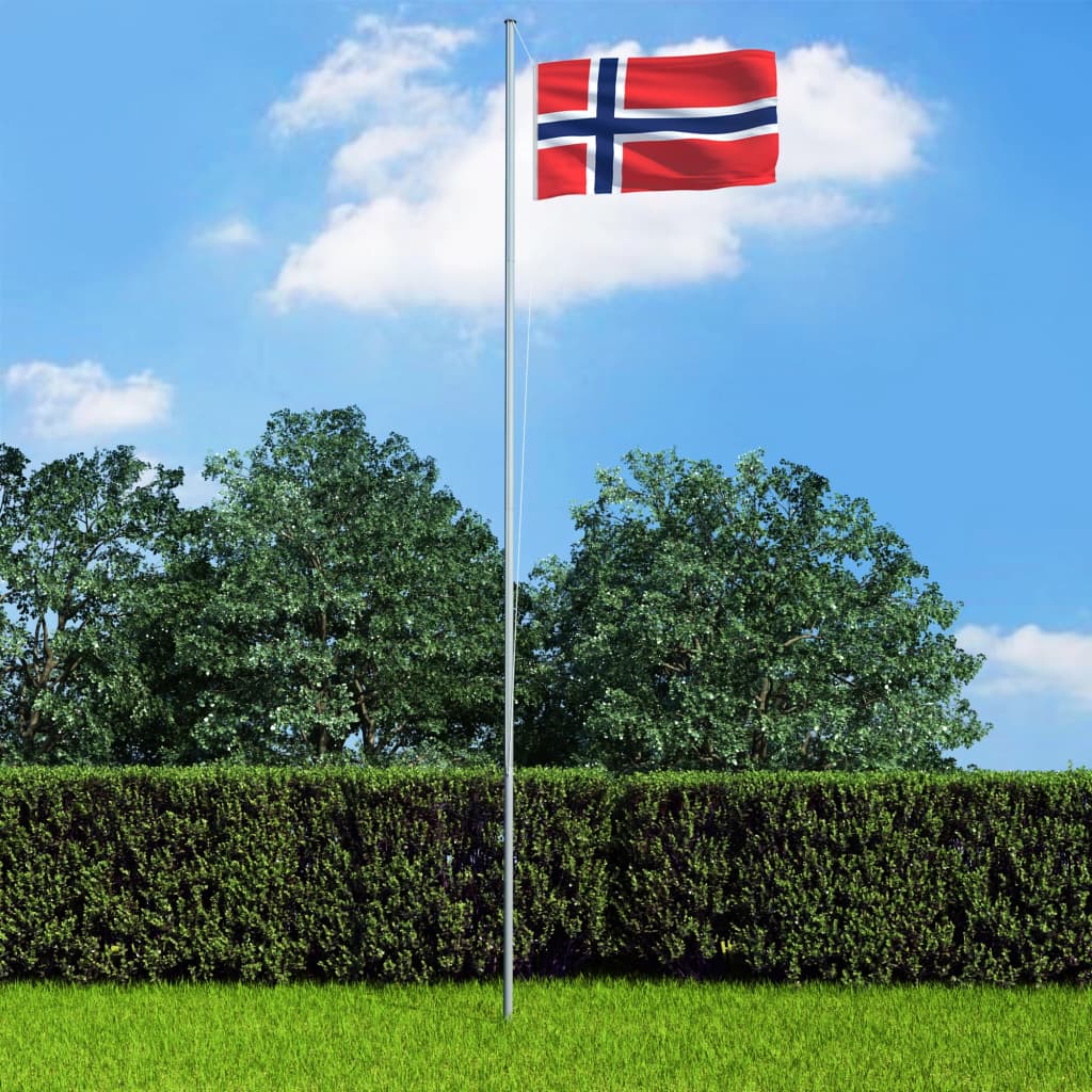 vidaXL Steag Norvegia și stâlp din aluminiu, 6,2 m