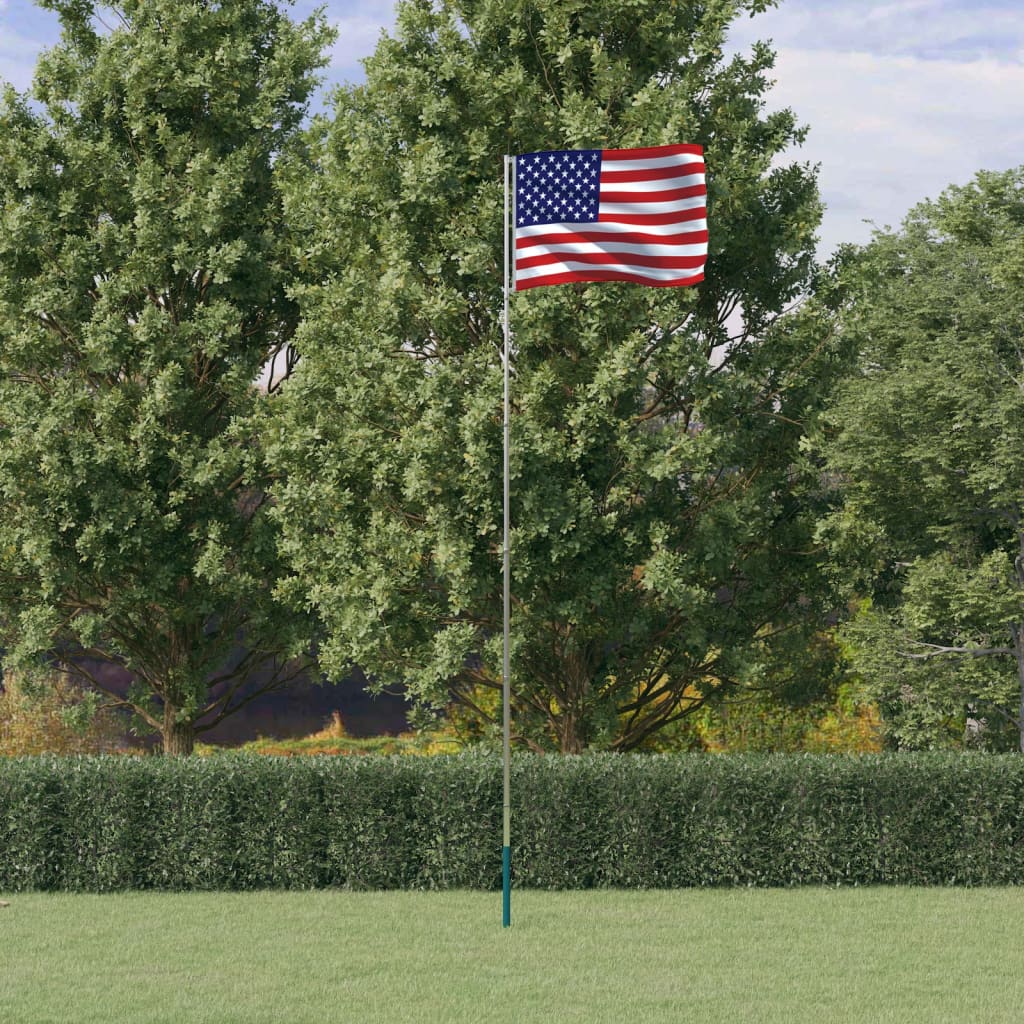 vidaXL Steag SUA și stâlp din aluminiu, 5,55 m