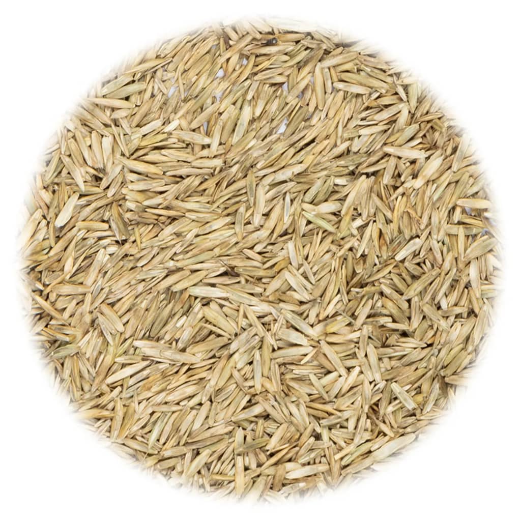 vidaXL Semințe pentru iarbă de gazon, 15 kg