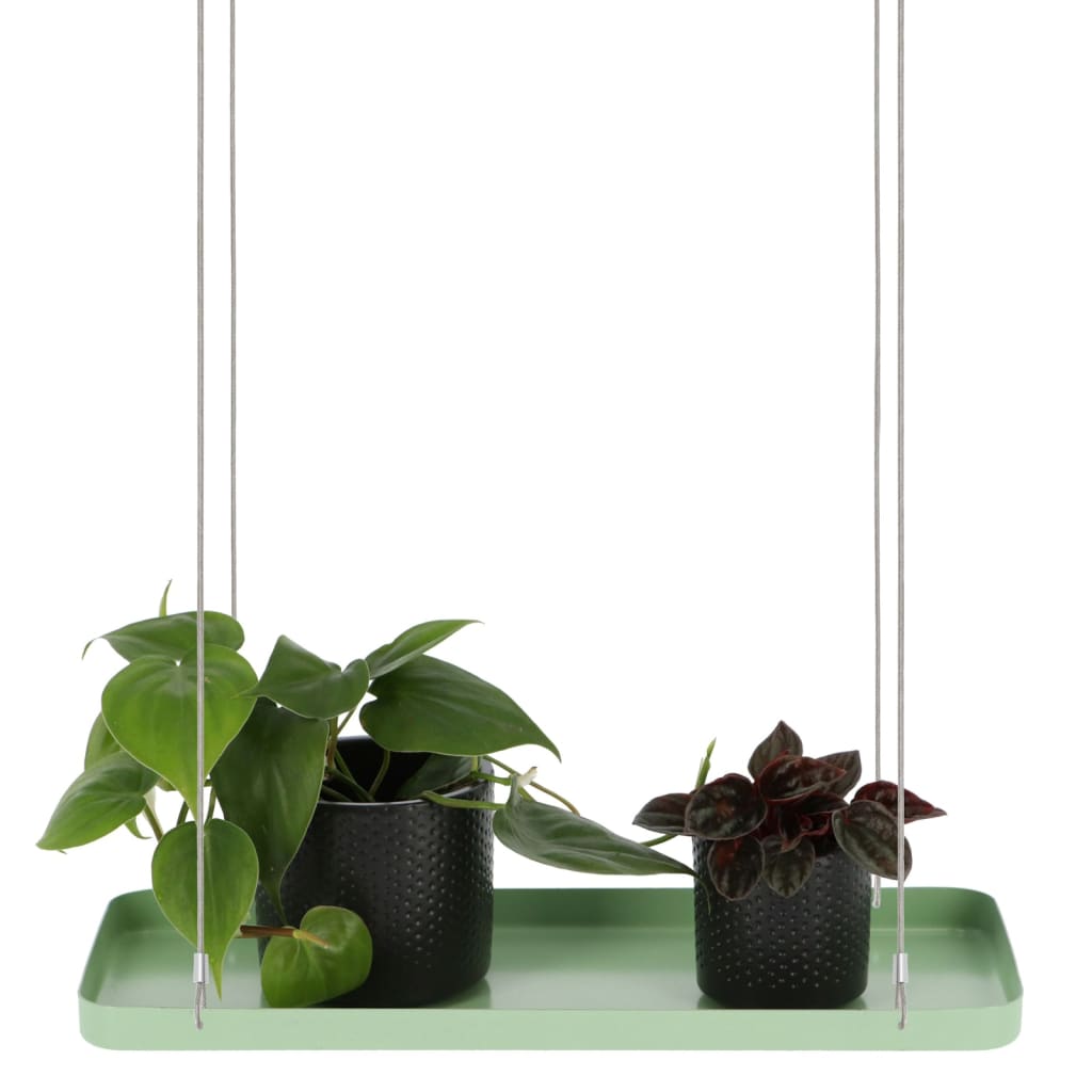 Esschert Design Tavă pentru plante suspendată verde dreptunghiulară, S
