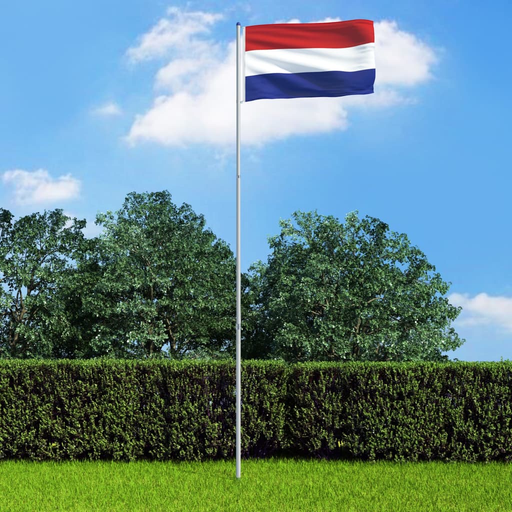 vidaXL Steag Olanda și stâlp din aluminiu, 6 m