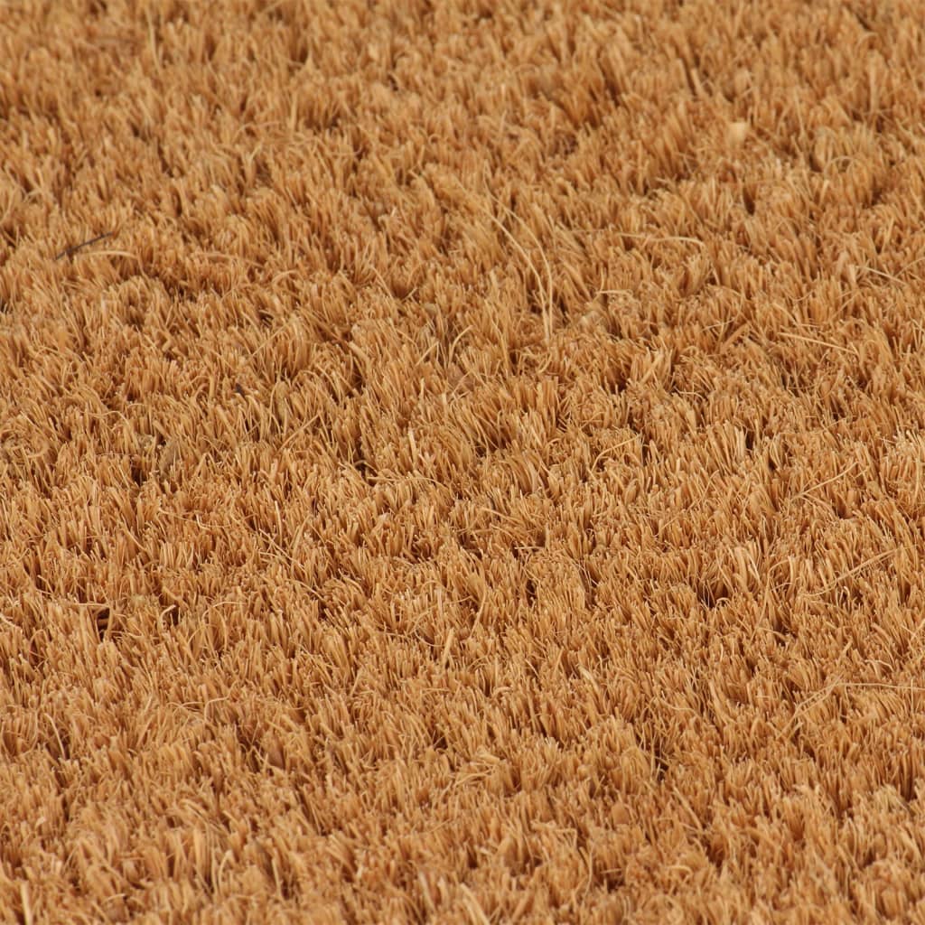vidaXL Covoraș de ușă natural, 80x100 cm, fibre de cocos