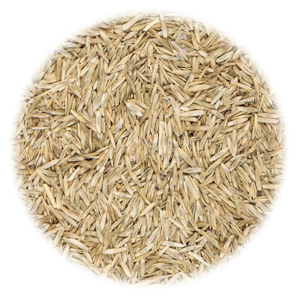vidaXL Semințe de gazon pentru câmp și pășune, 20 kg