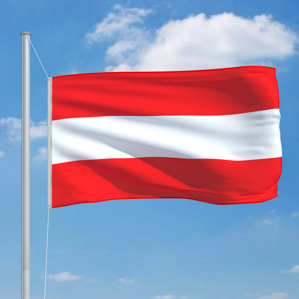vidaXL Steag Austria și stâlp din aluminiu, 6,2 m