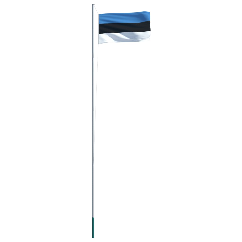 vidaXL Steag Estonia și stâlp din aluminiu, 6,2 m