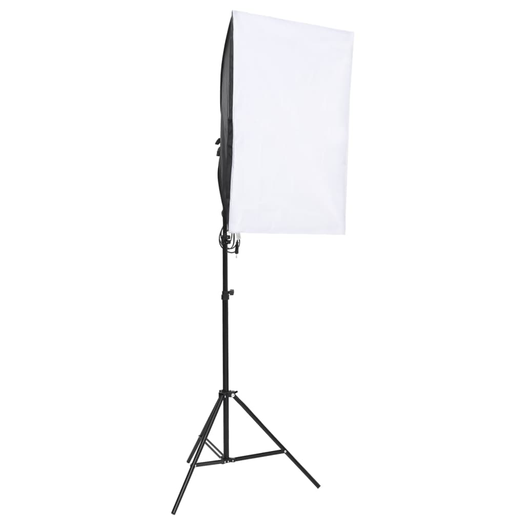 vidaXL Lumină profesională de studio, 2 buc., 40x60 cm