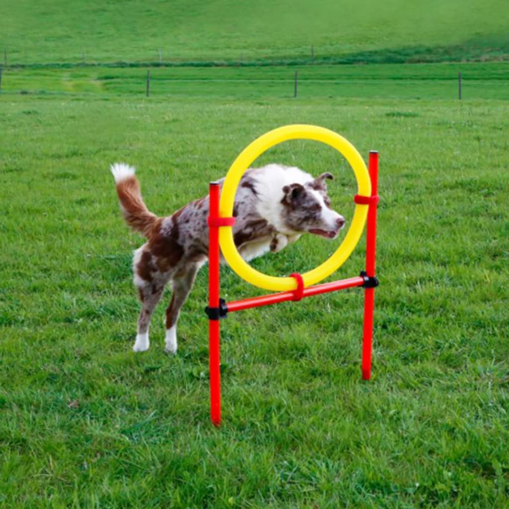 Kerbl Set de antrenament agilitate pentru câini, roșu 80758