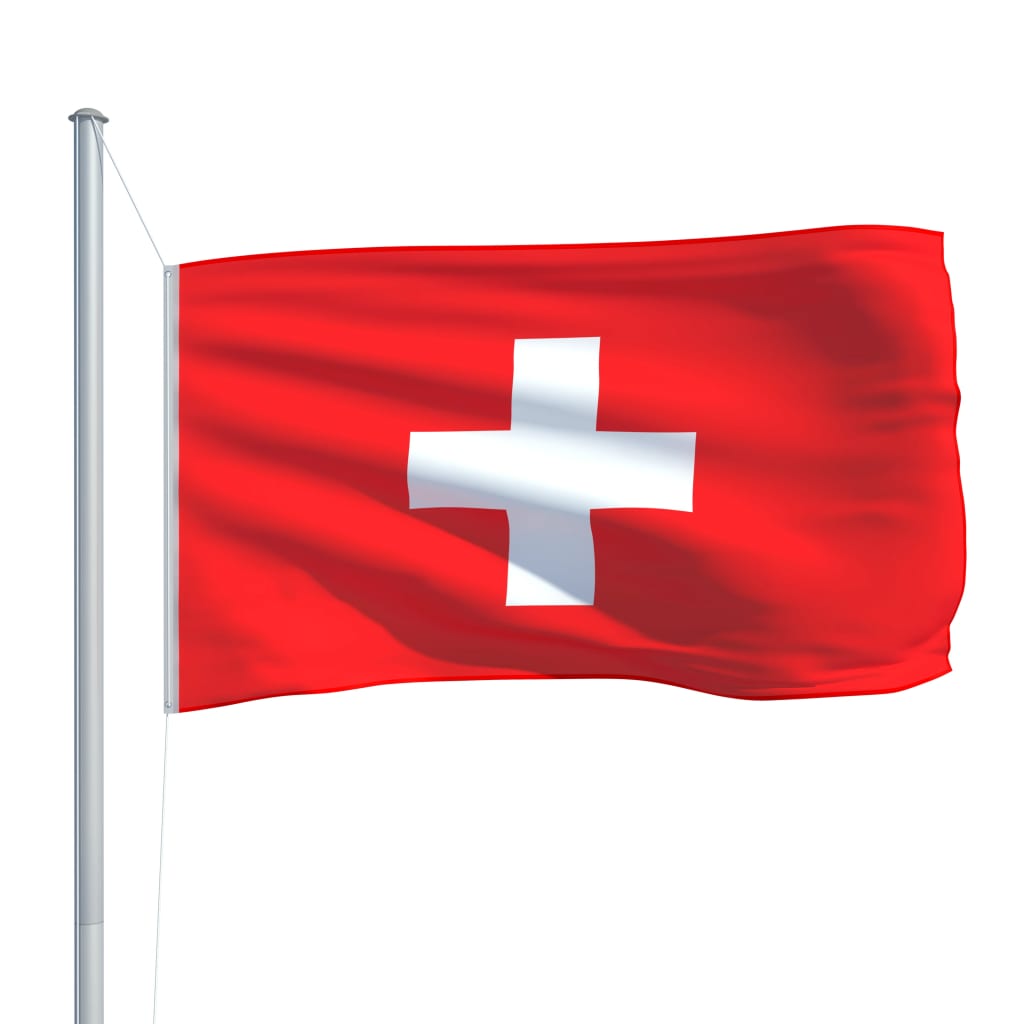 vidaXL Steag Elveția, 90 x 150 cm