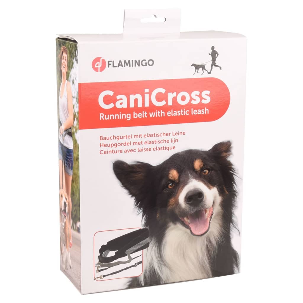 FLAMINGO Zgardă pentru câine cu lesă elastică Canicross negru
