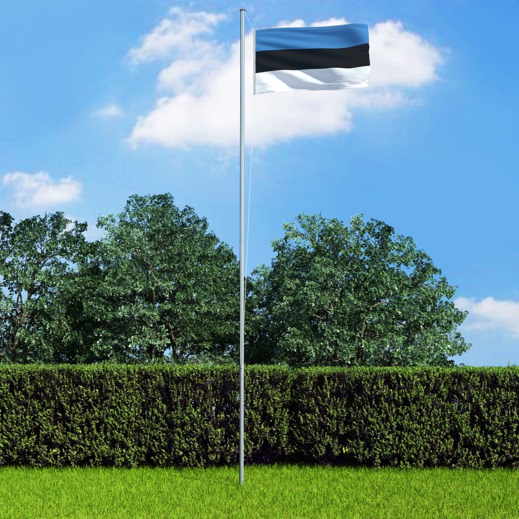 vidaXL Steag Estonia și stâlp din aluminiu, 6,2 m