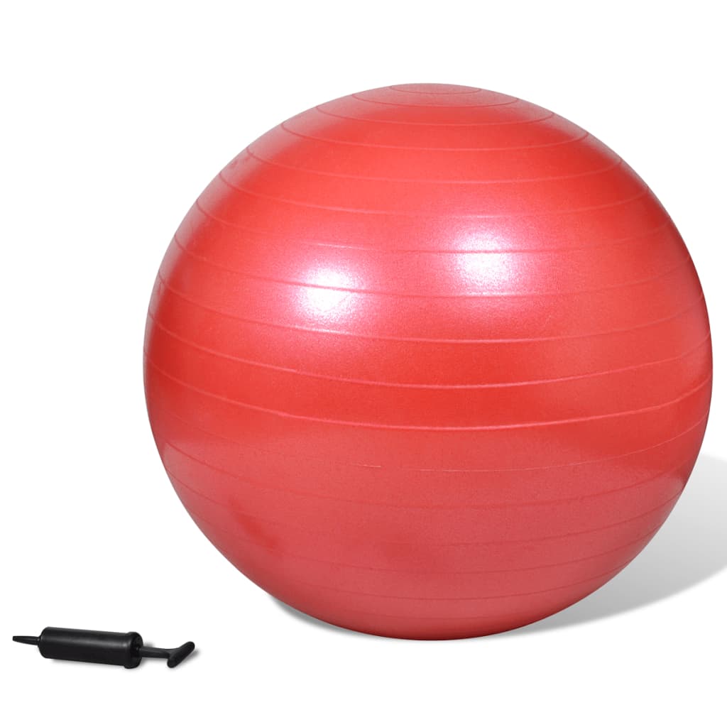 Minge de stabilitate echilibru yoga fitness, cu pompă, 75 cm, roșu