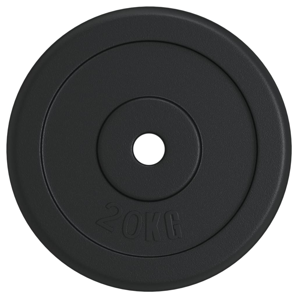 vidaXL Disc de greutate, 40 kg, fontă
