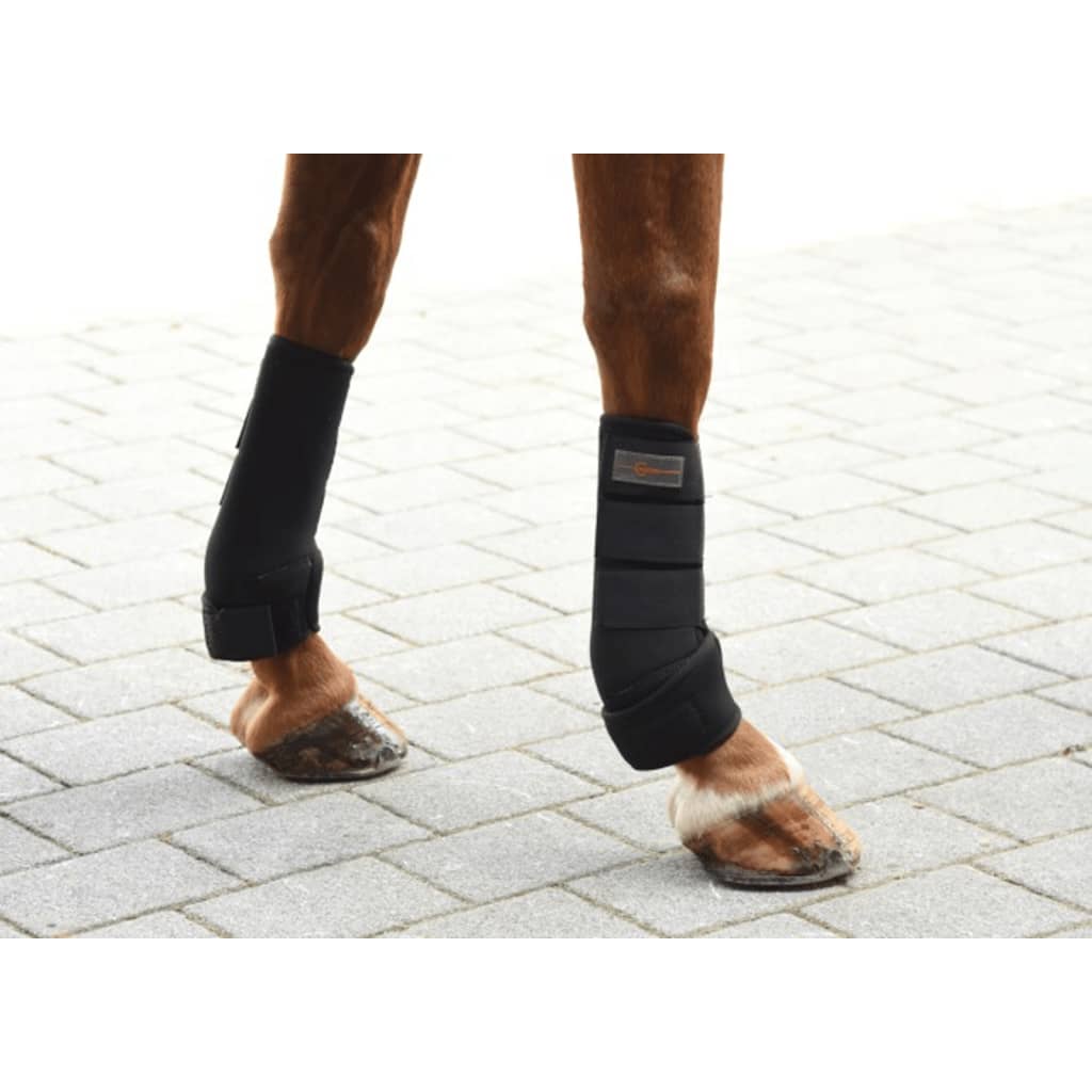 Kerbl Set cizme de cal talie mică sau ponei, patru piese, negru 320131