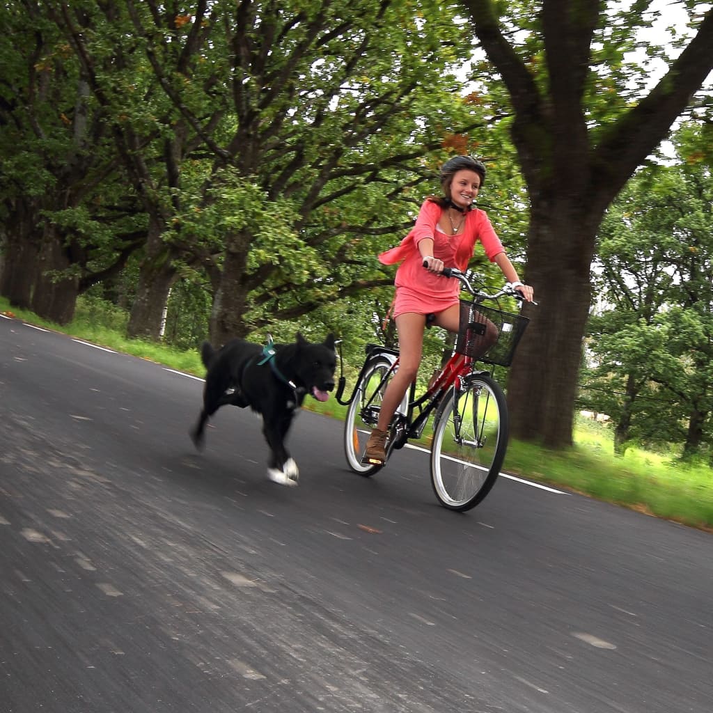 SPRINGER Kit de antrenament de bicicletă pentru câini
