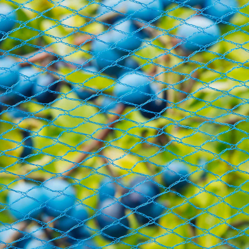 Nature Plasă anti-păsări Nano, albastru, 10 x 4 m