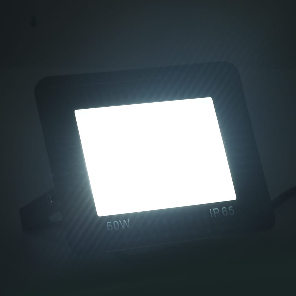 vidaXL Proiectoare cu LED, 50 W, 2 buc., alb rece