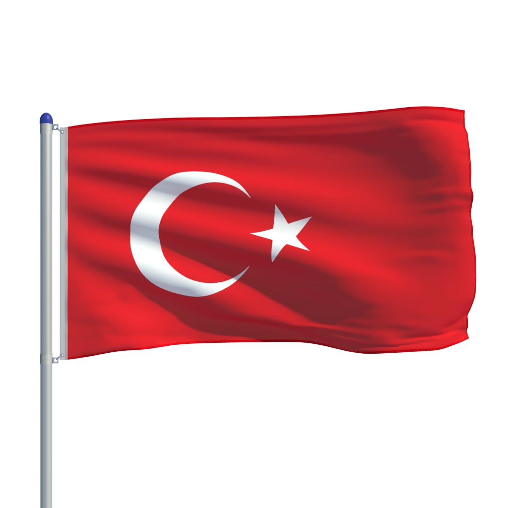 vidaXL Steag Turcia și stâlp din aluminiu, 6 m
