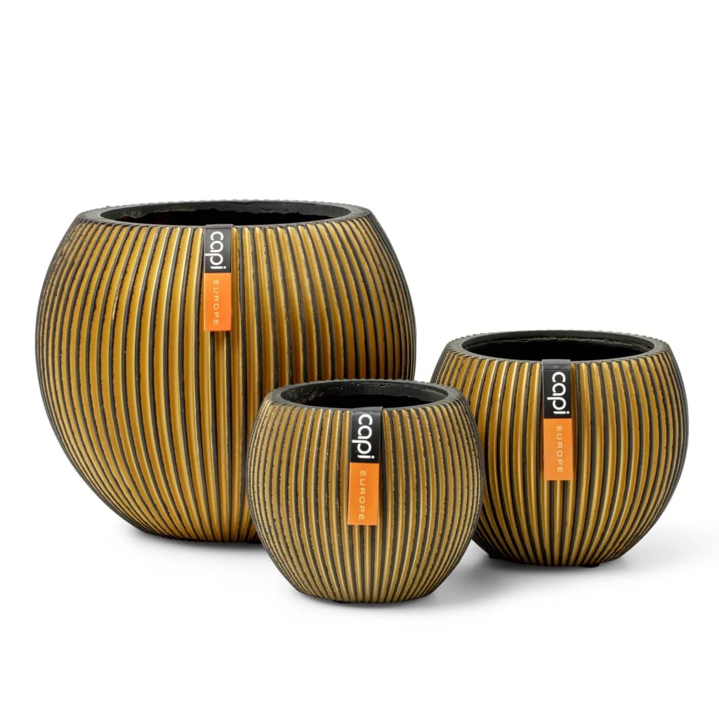 Capi Set de vaze în formă de bol, 3 piese, "Groove", auriu