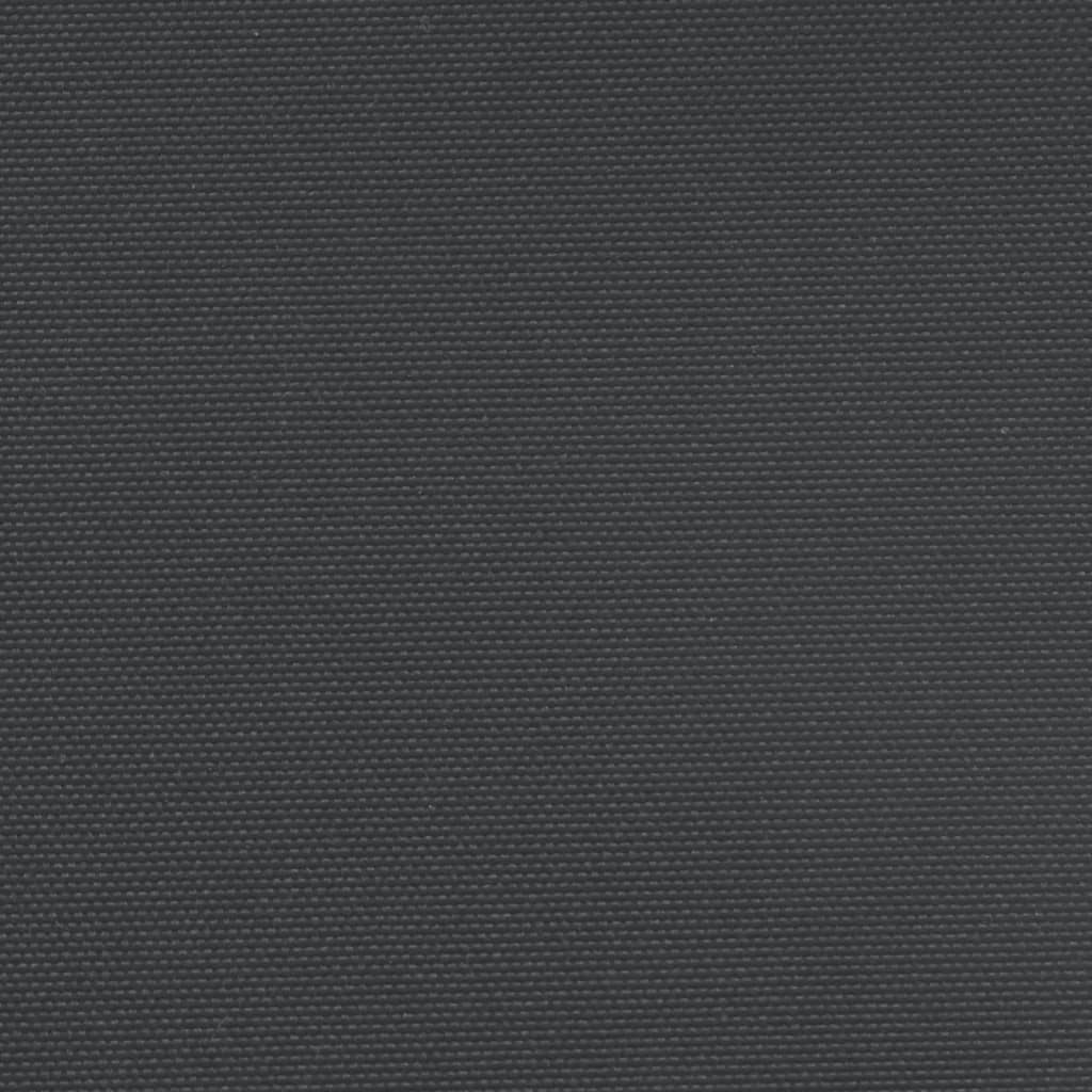 vidaXL Copertină laterală retractabilă, negru, 160x1200 cm