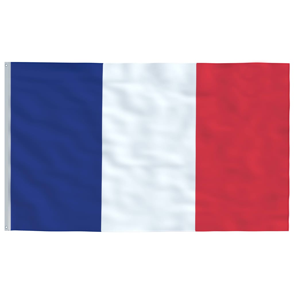 vidaXL Steag Franța, 90 x 150 cm