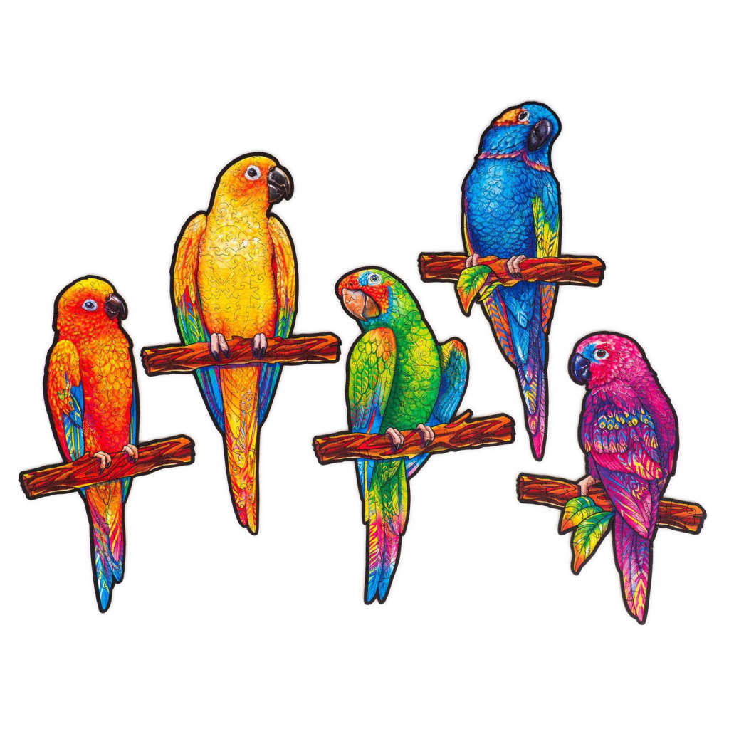 UNIDRAGON Puzzle din lemn 291 piese Playful Parrots King size 49x27 cm
