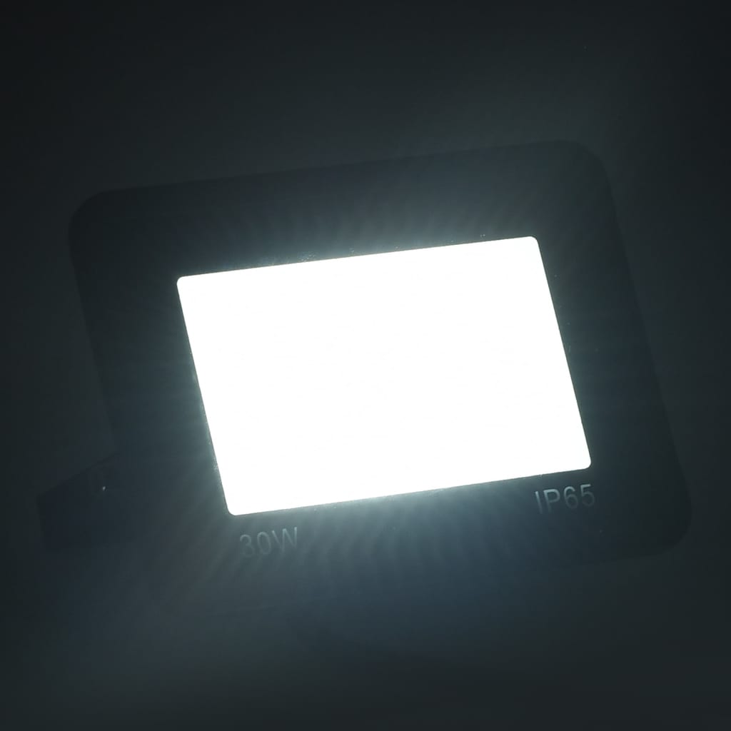 vidaXL Proiectoare cu LED, 30 W, 2 buc., alb rece