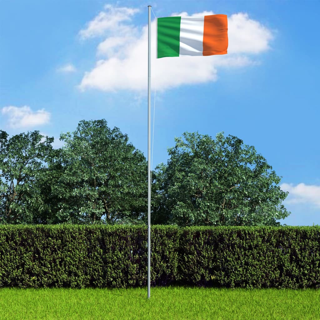 vidaXL Steag Irlanda și stâlp din aluminiu, 4 m