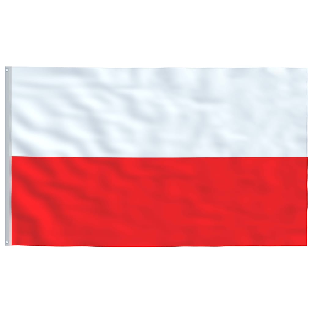 vidaXL Steag Polonia și stâlp din aluminiu, 5,55 m