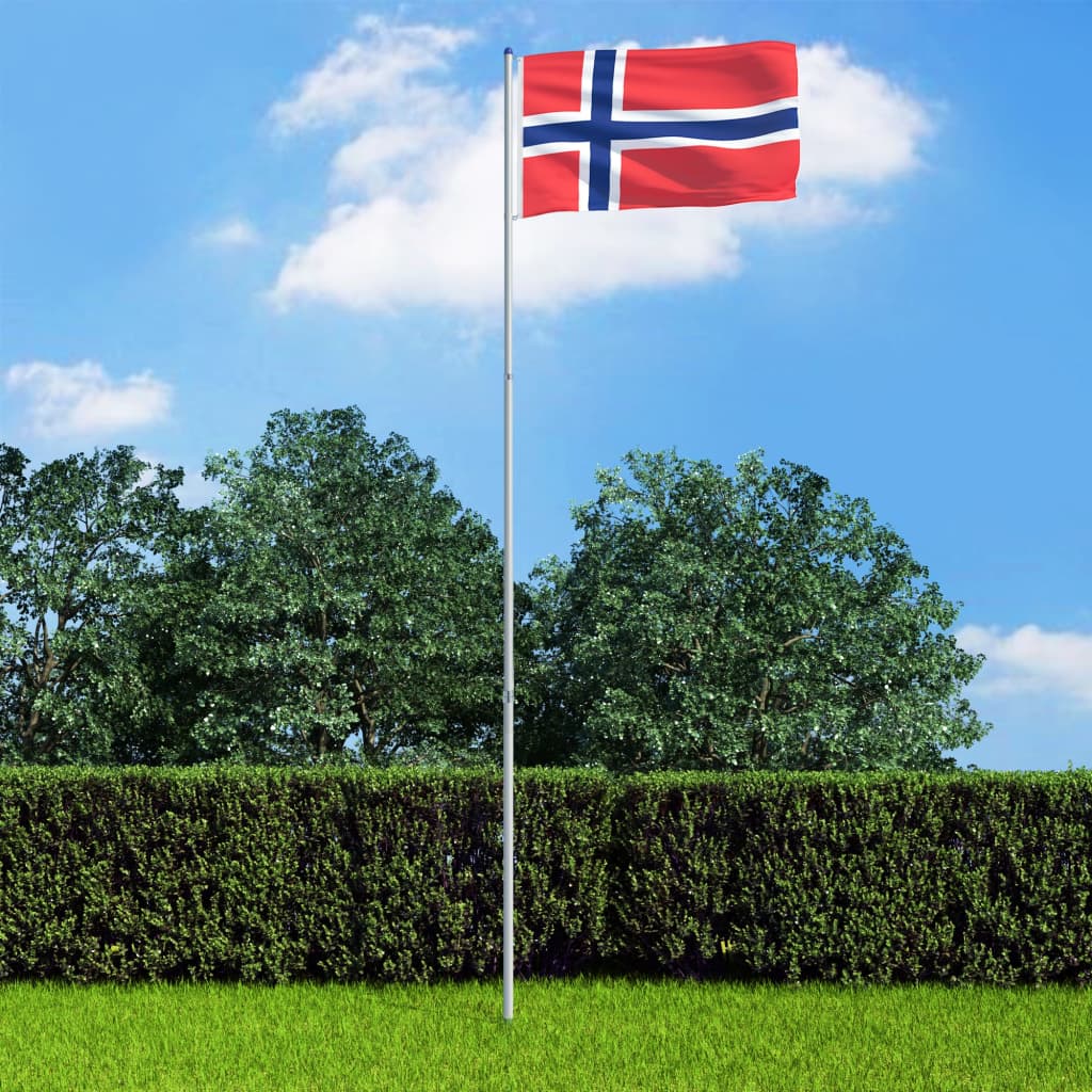 vidaXL Steag Norvegia și stâlp din aluminiu, 6 m