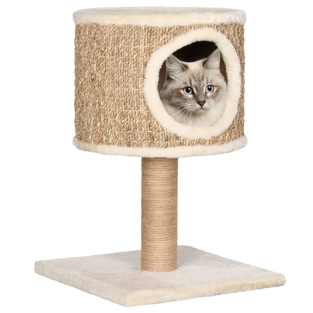 vidaXL Ansamblu pisici cu casă și stâlp de zgâriat 52 cm iarbă de mare