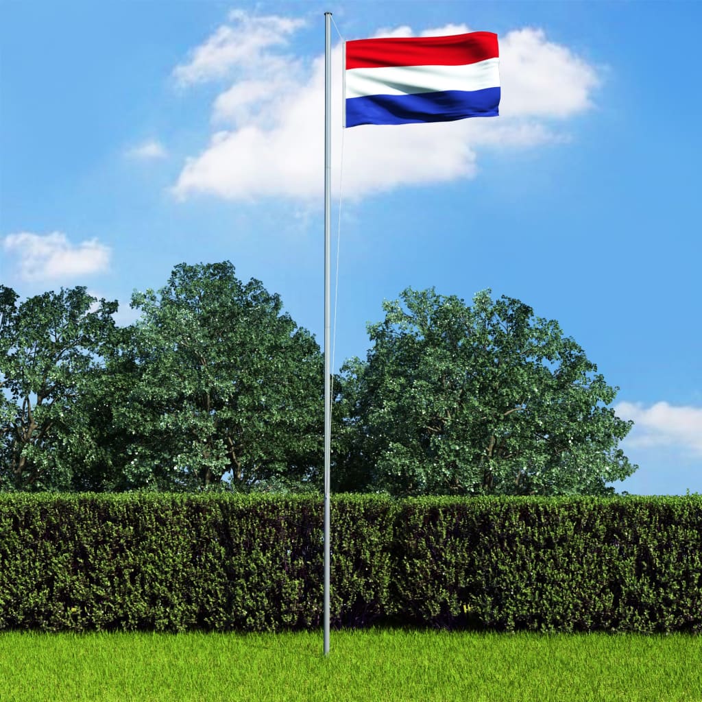 vidaXL Steag Olanda și stâlp din aluminiu, 6,2 m
