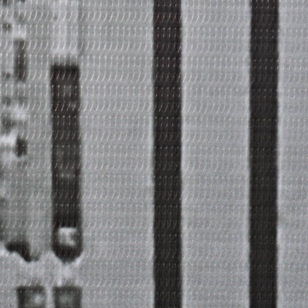 vidaXL Paravan cameră pliabil, 200x170 cm, New York pe zi, alb/negru