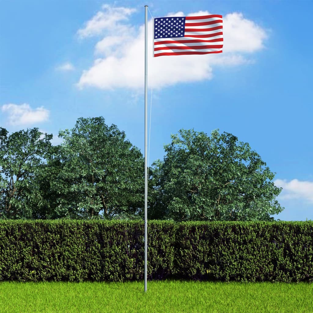 vidaXL Steag SUA și stâlp din aluminiu, 6,2 m