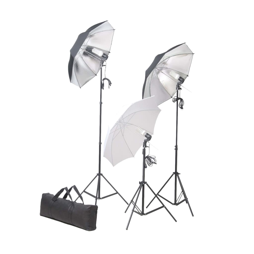vidaXL Set lumini studio: 24 wați cu trepiede și umbrele