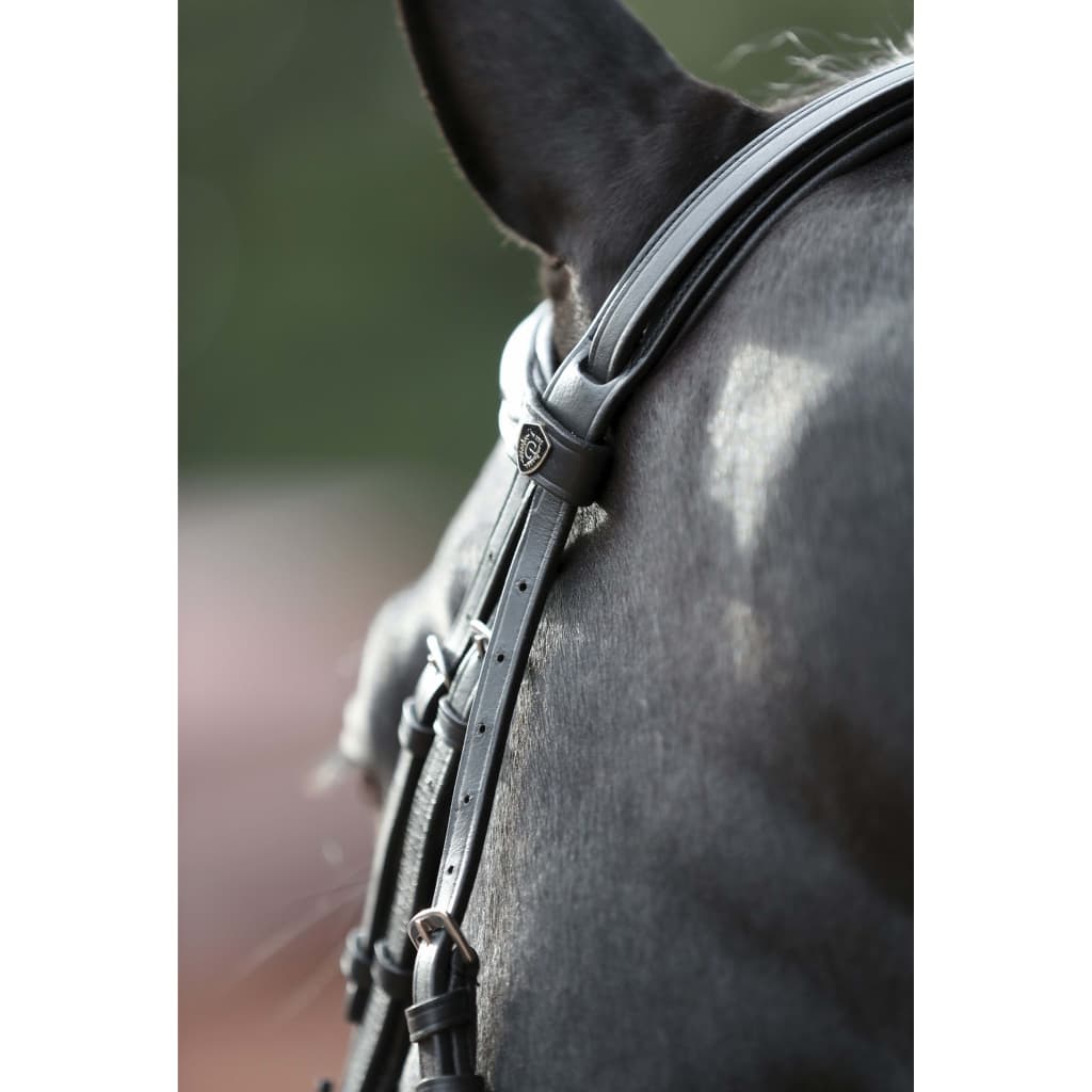 Covalliero Căpăstru pentru ponei „Cancun”, negru