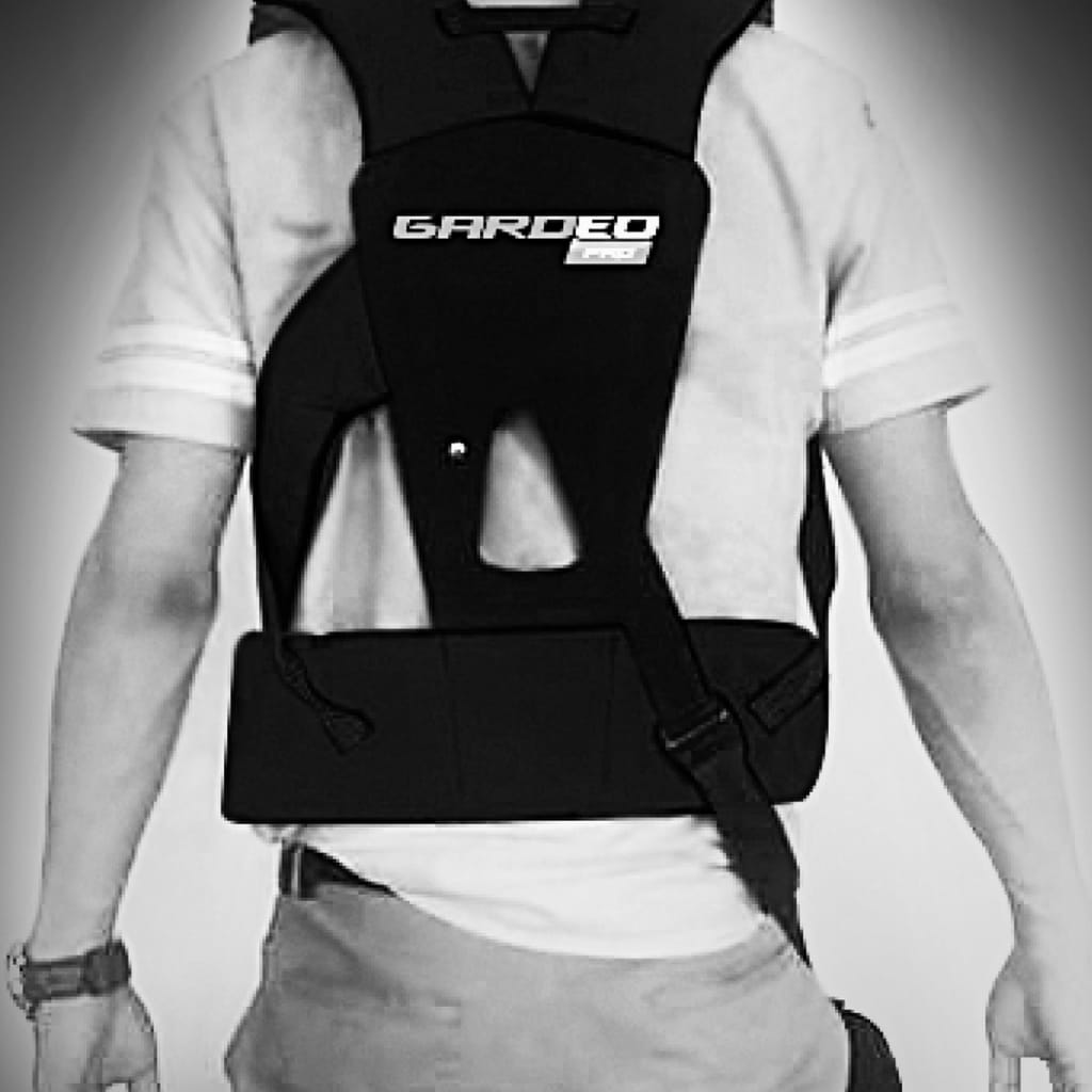 GARDEO PRO Kit de protecție facială și ham de siguranță