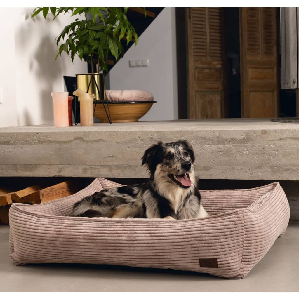 Designed by Lotte Coș pentru câini cu striații, roz, 65x60x20 cm