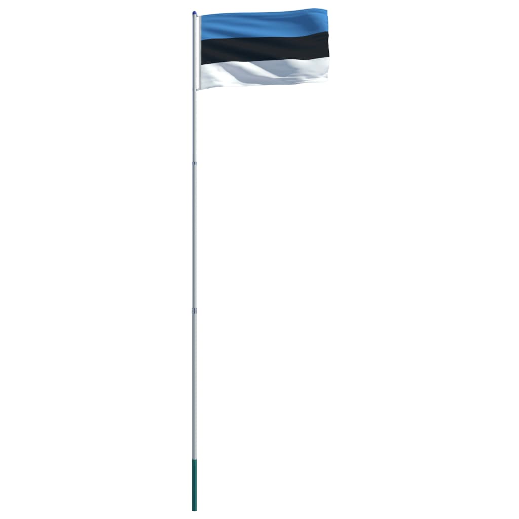 vidaXL Steag Estonia și stâlp din aluminiu, 6 m