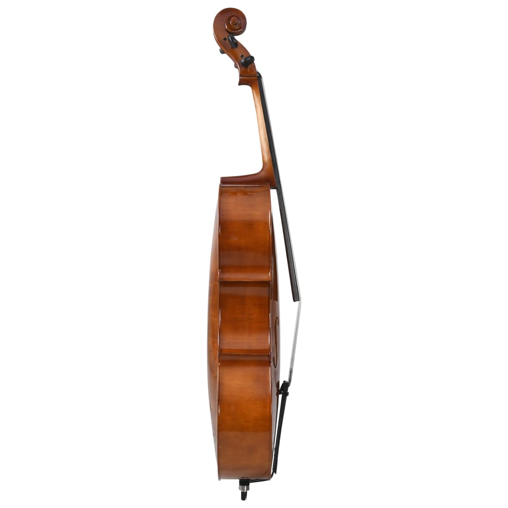 vidaXL Set complet violoncel cu husă, arcuș păr natural, lemn 4/4