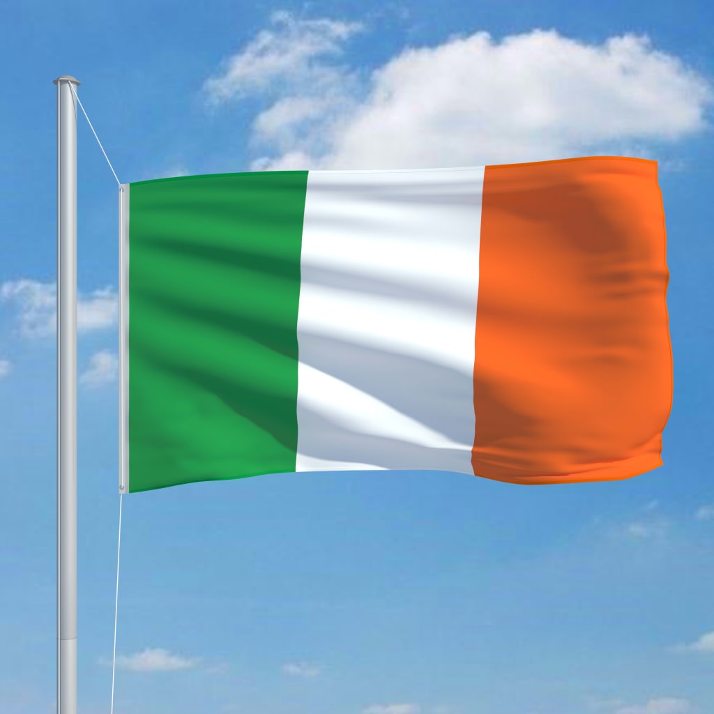 vidaXL Steag Irlanda și stâlp din aluminiu, 6,2 m