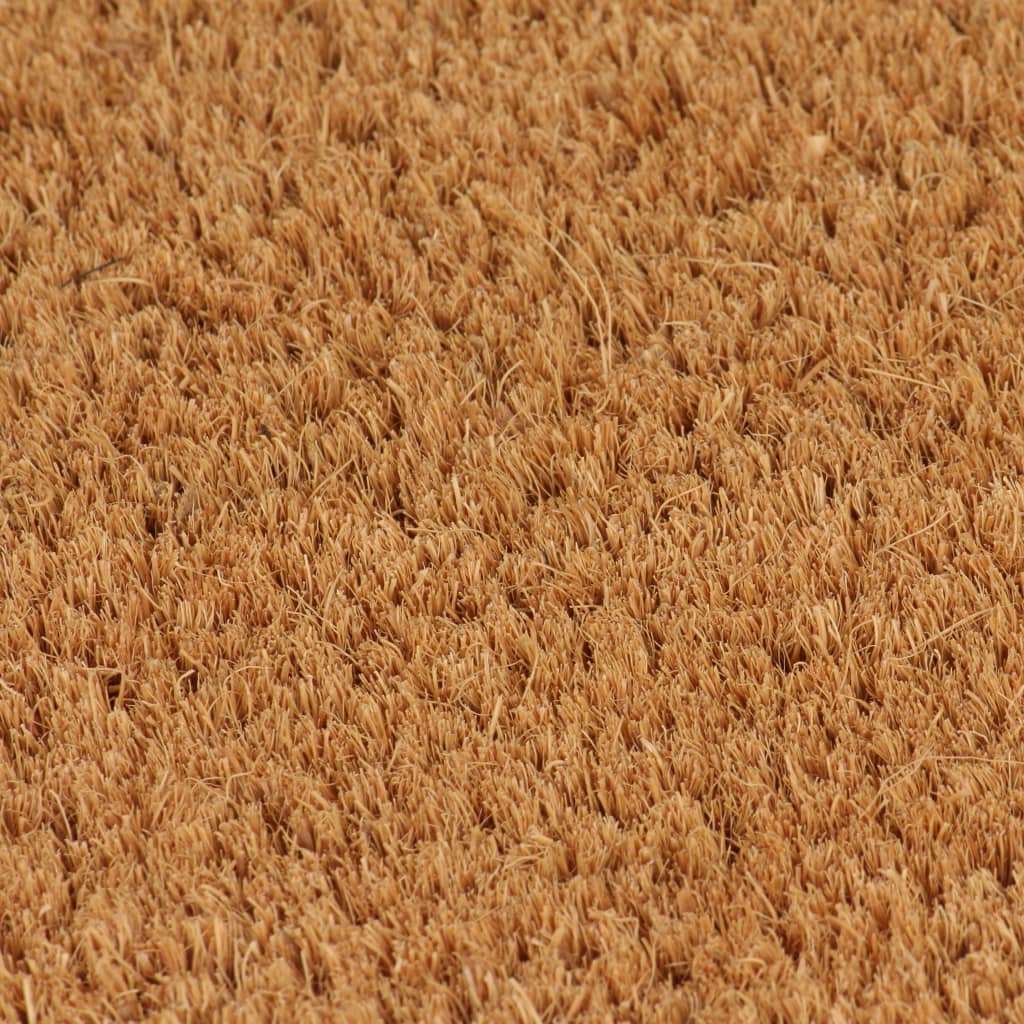 vidaXL Covoraș de ușă, natural, 50x80 cm, fibre de cocos
