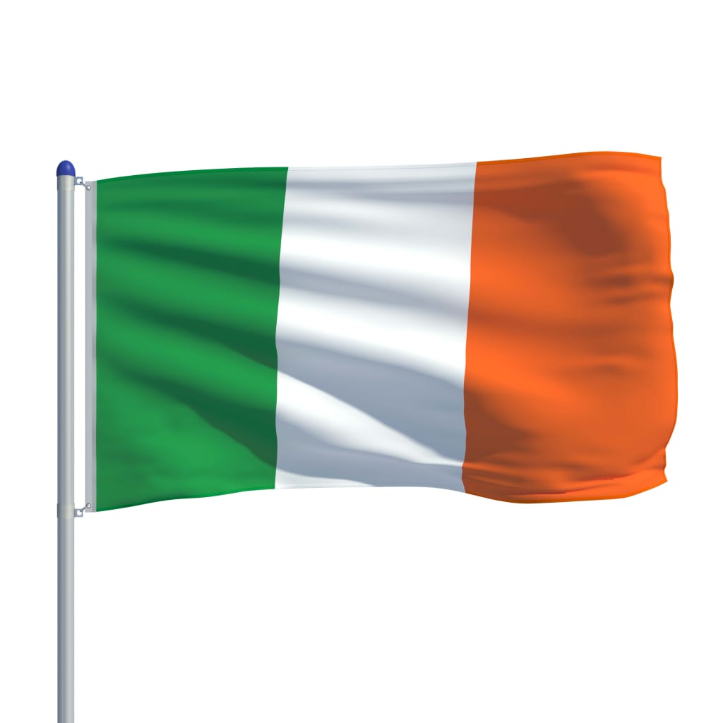 vidaXL Steag Irlanda și stâlp din aluminiu, 6 m