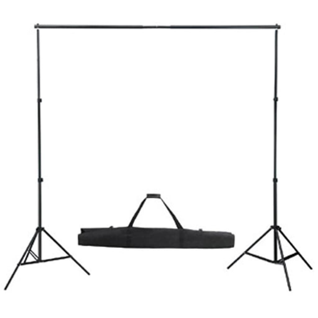 vidaXL Kit studio foto, fundal negru, 600 x 300 & lumini