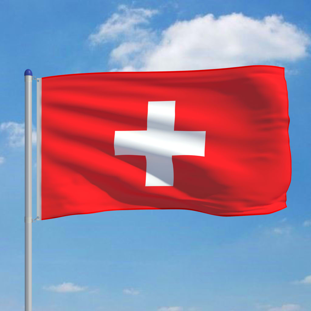 vidaXL Steag Elveția și stâlp din aluminiu, 6 m