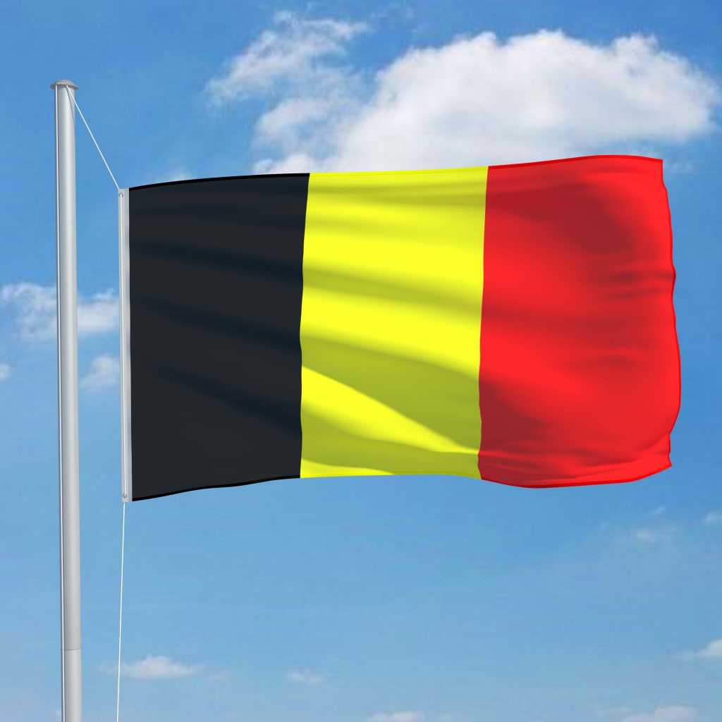 vidaXL Steag Belgia și stâlp din aluminiu, 6,2 m