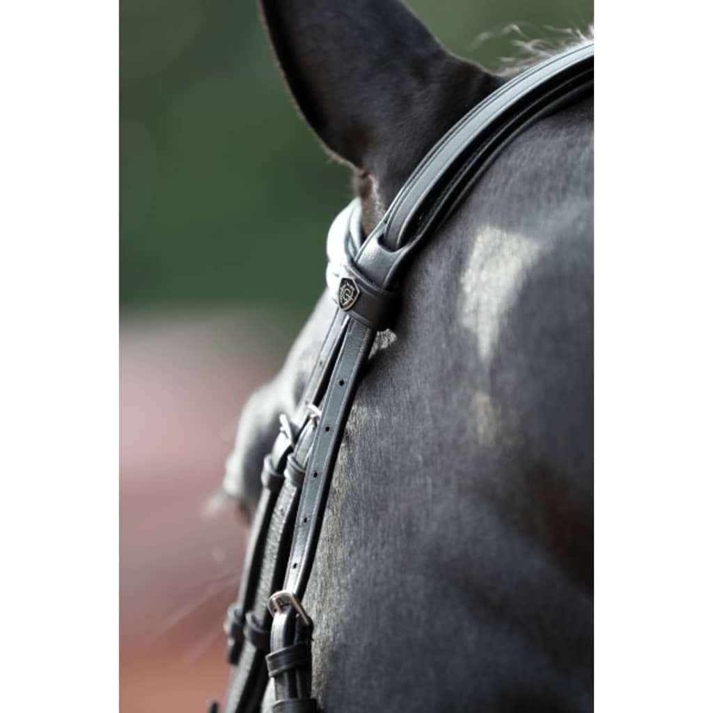 Covalliero Căpăstru pentru cai „Cancun”, negru