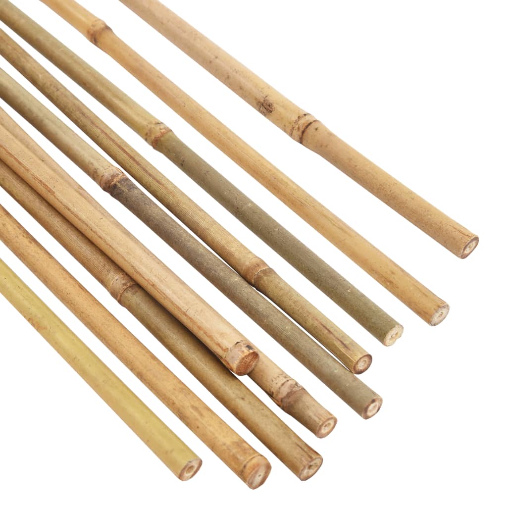 vidaXL Bețe de bambus de grădină, 50 buc., 150 cm