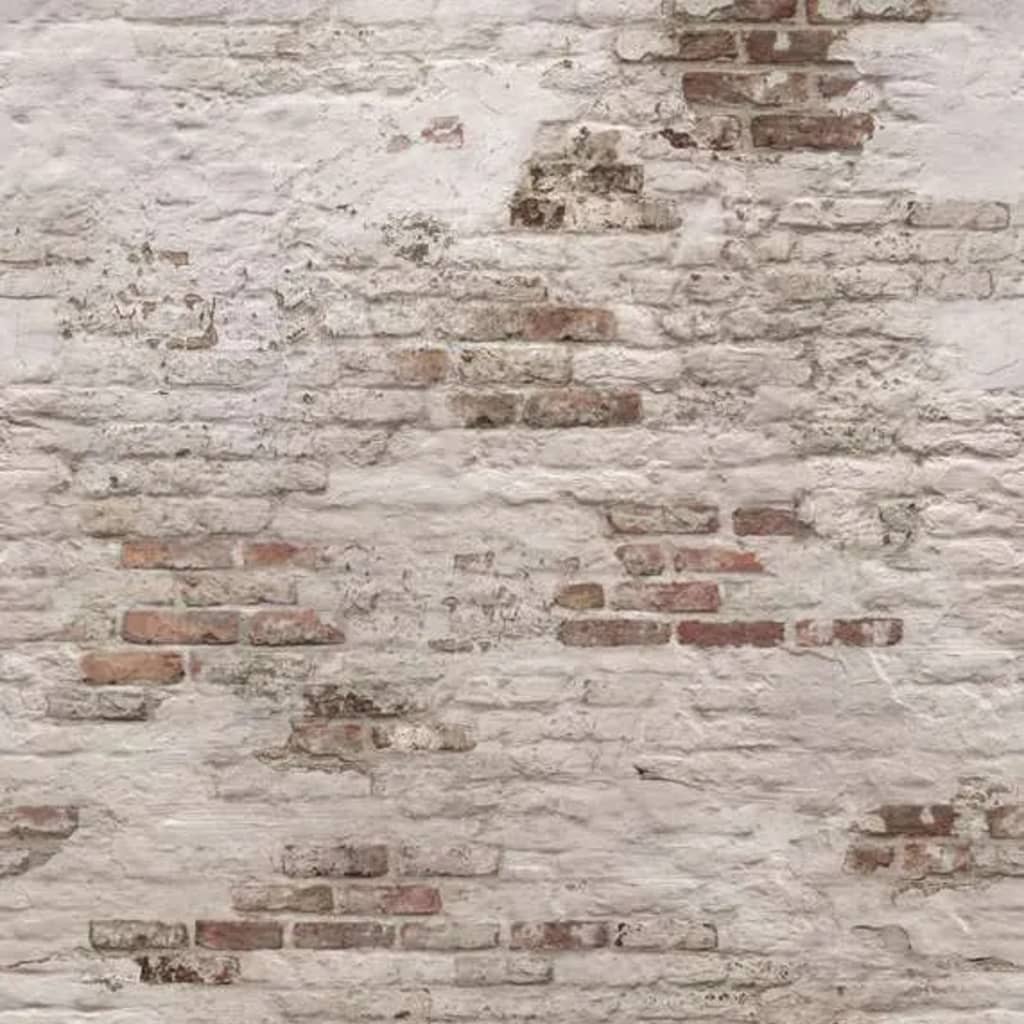 DUTCH WALLCOVERINGS Foto tapet Old Brick Wall, bej și maro