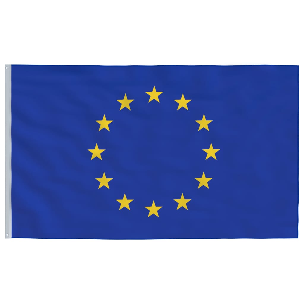vidaXL Steag Europei și stâlp din aluminiu, 6,23 m