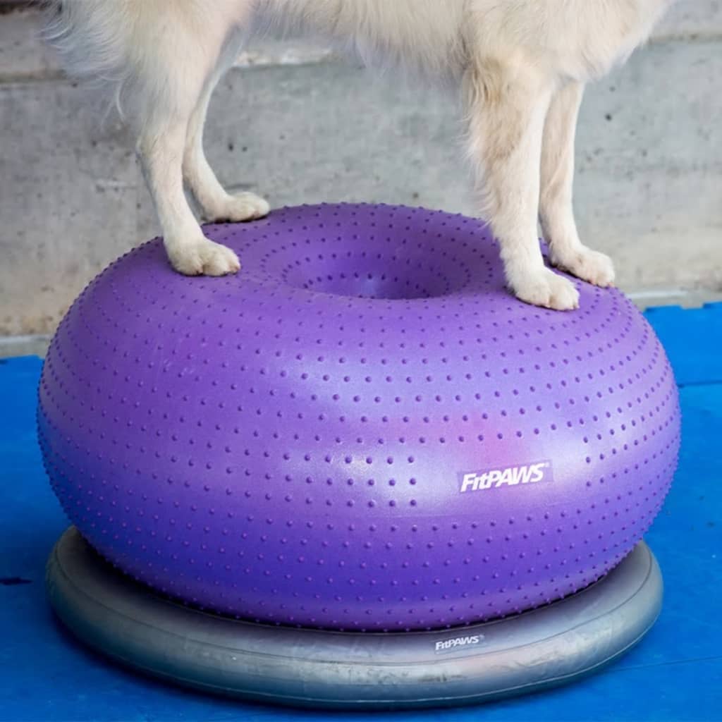 FitPAWS Minge de echilibru animale de companie TRAX Donut violet 55 cm